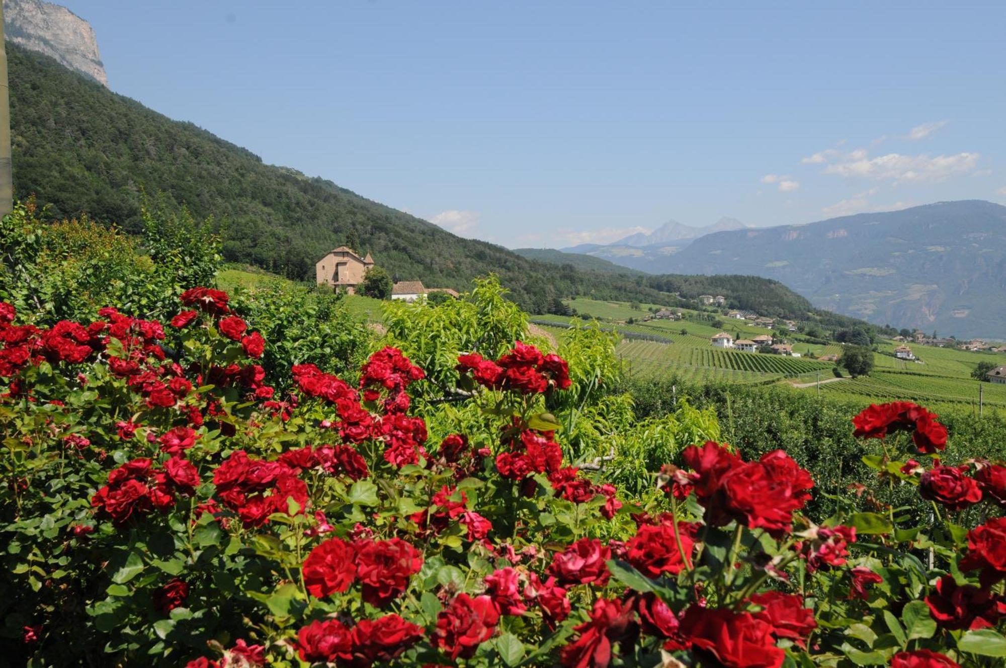 Steinegger Eppan Hotel Appiano Sulla Strada Del Vino Exterior photo